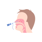 مناظير الجيوب الانفية وقاع الجمجمه