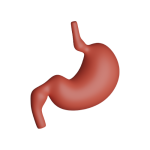 علاج أمراض سوء الإمتصاص و عسرالهضم وفقدان الشهية