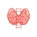 علاج ومتابعة خمول وفرط افراز هرمون الغده الدرقيه
