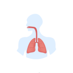 تشخيص و علاج امراض الجهاز التنفسي