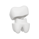 تركيبات الأسنان والجسور