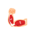 تقوية العضلات و تنسيق القوام