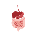 التشخيص المبكر لأمراض الكبد والجهاز الهضمي و علاجها
