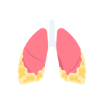 علاج التليف الرئوي والسده الرئويه