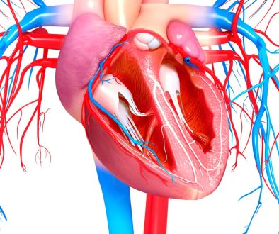 دليل شامل لتوسيع صمامات القلب