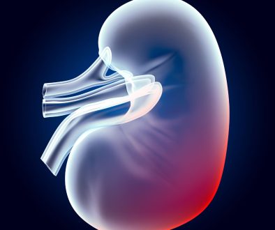 العيوب الخلقية في المسالك البولية عند الأطفال