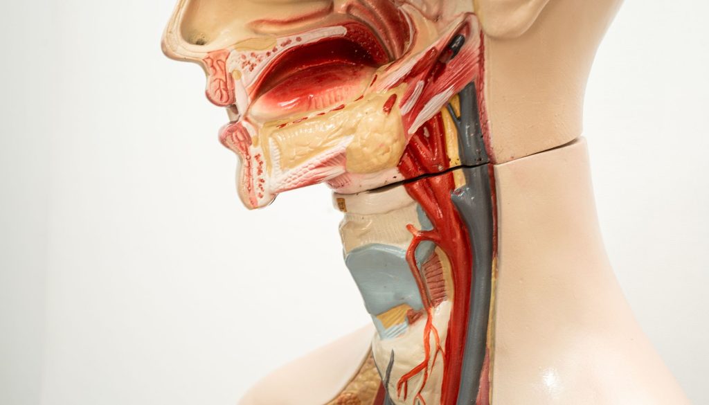 صحة الأنف والأذن والحنجرة