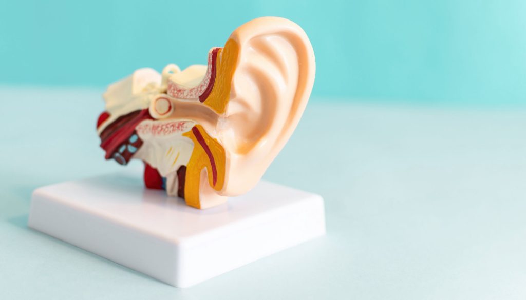 صحة السمع والأذن