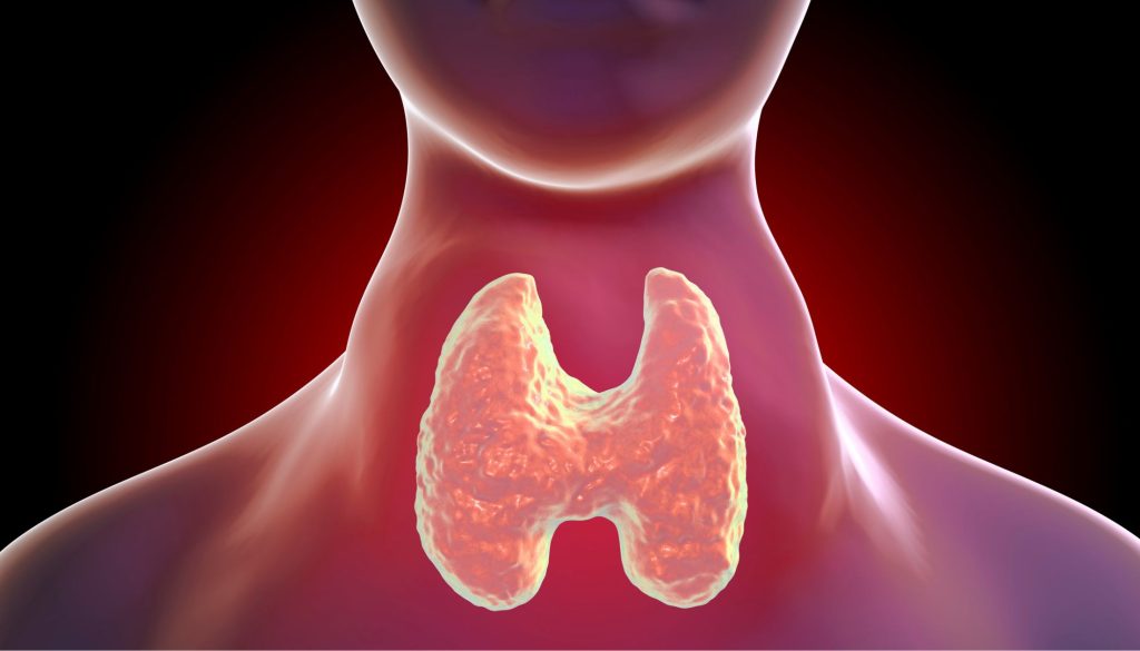 خمول-و-نشاط-الغدة-الدرقية