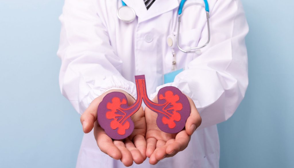 صحة الكلى
