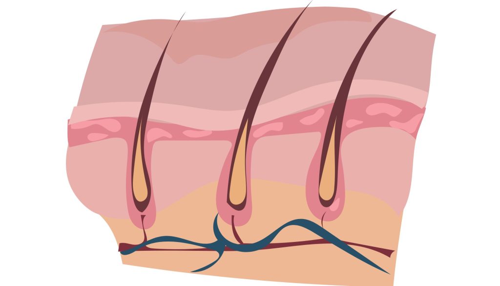 علاج مشاكل الشعر و البشرة